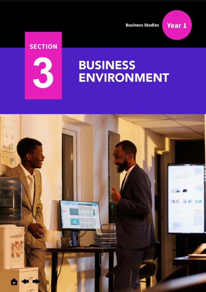 thumbnail of Business Studies Section 3_TV